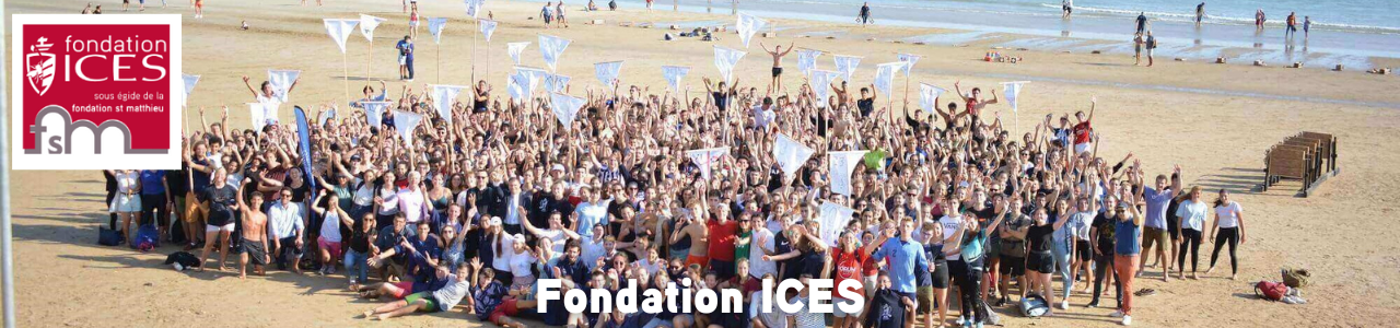 FSM ICES (1)